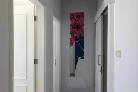 Kings Palace - Superb 2 Bed Ground Floor Apartment Paphos Kültér fotó